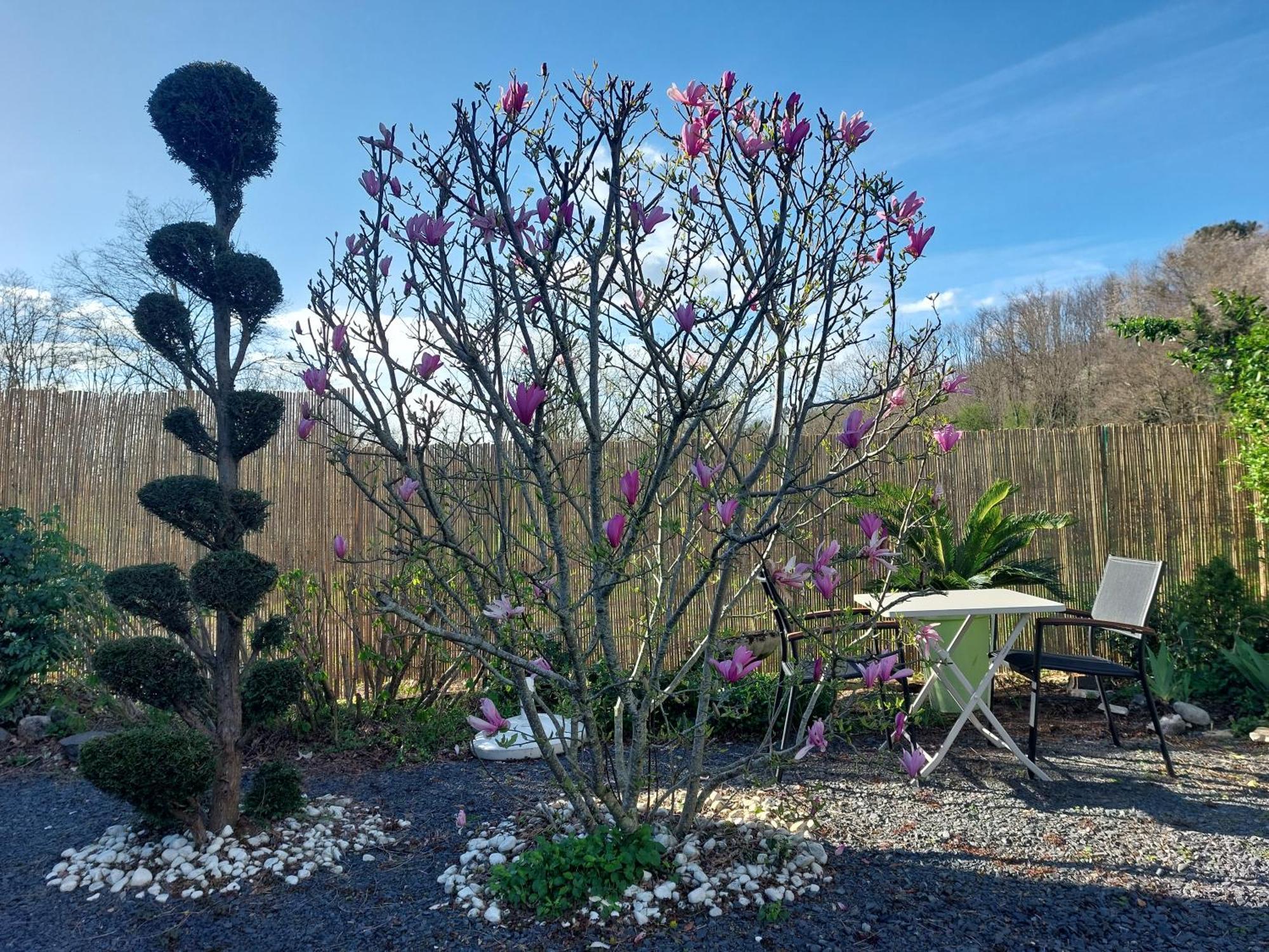 La Douceur De Vivre Villa Gilly-sur-Loire ภายนอก รูปภาพ